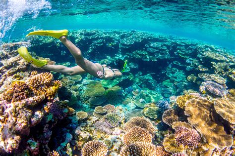 Okinawa Snorkeling Guide - VISIT OKINAWA JAPAN - muktibox.com
