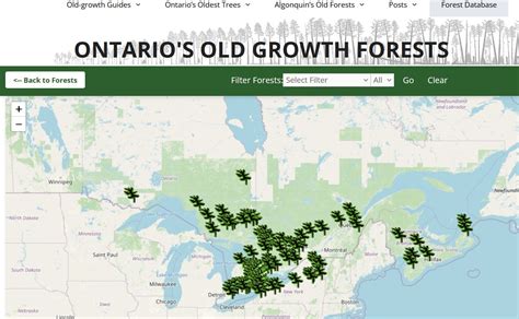 OLD GROWTH - Tree Services | Grand Rapids - raincitystudios.com