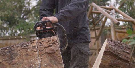 Old Growth Tree Service | Landscaping/Garden/Tree Services | Fire ... - raincitystudios.com