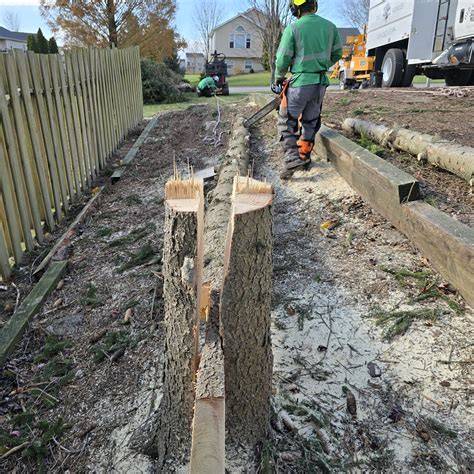 Old Growth Tree Services, LLC - Better Business Bureau - raincitystudios.com