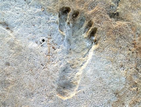 Oldest Footprints In North America - wintechmobiles.com