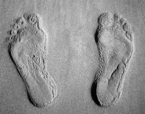 Oldest Footprints - wintechmobiles.com