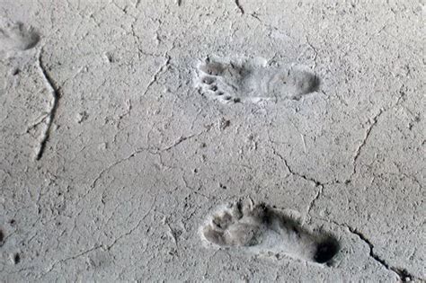 Oldest human footprint outside Africa found on Norfolk beach - wintechmobiles.com