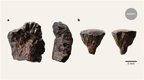 Oldest known evidence of the controlled ignition of fire - wintechmobiles.com