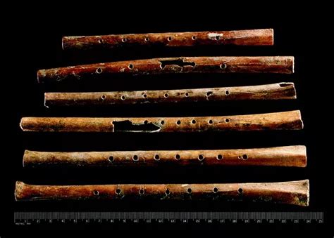 Oldest playable musical instruments found at Jiahu early ... - Nature - wintechmobiles.com