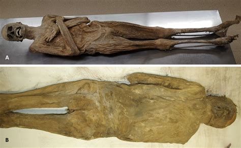 Oldest Preserved Human Remains - wintechmobiles.com