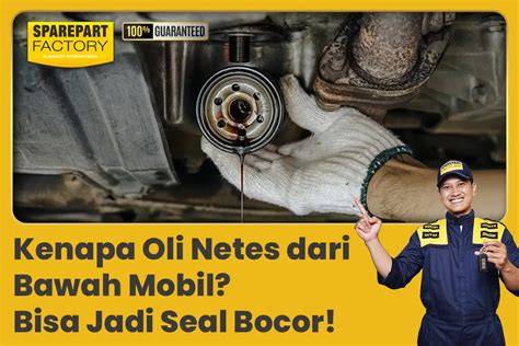 Oli Motor Bocor Dari Bawah : General Tips - raincitystudios.com