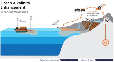 Olivine-Induced Alkalinity Enhancement Amplifies Phytoplankton Carbon ... - raincitystudios.com
