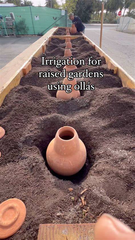 Olla Irrigation : 4 Steps (with Pictures) - Instructables - raincitystudios.com