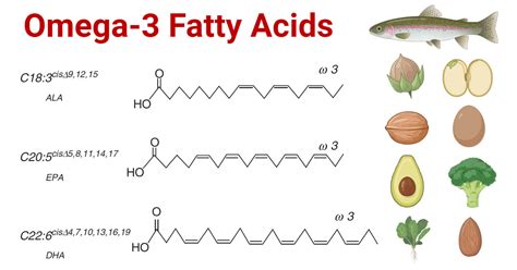 Omega-3 Fatty Acids: An Essential Contribution - The … - muktibox.com