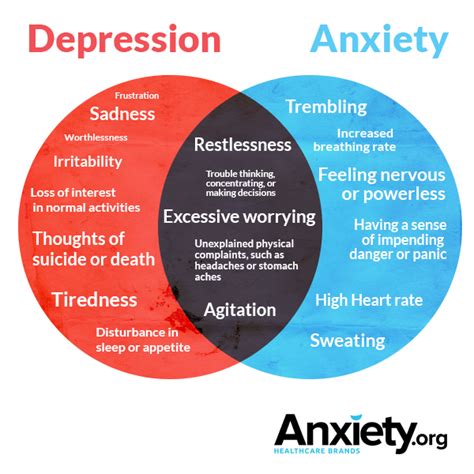 ONE CASE OF ANXIETY AND DEPRESSION ASSOCIATED WITH CHRONIC …