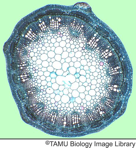 One of the least discussed parts of growth is that it can feel ... - wintechmobiles.com