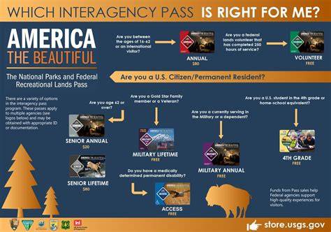 Online Forest Products Permits | Bureau of Land Management - raincitystudios.com