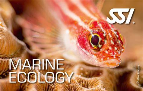 Online Marine ecology courses in Hartburn, Cleveland - raincitystudios.com