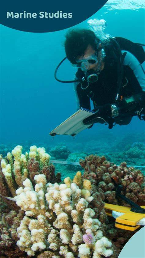 Online Marine Studies Course | Learn Ocean Life - raincitystudios.com