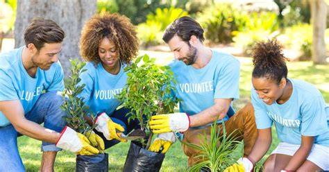 Online Volunteer Programs - raincitystudios.com