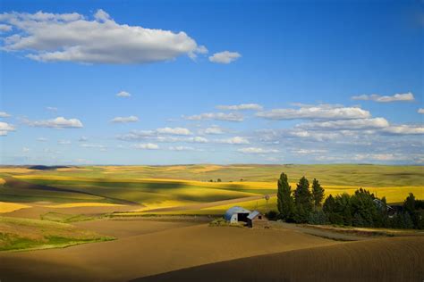 OPEN SPACE, AGRICULTURAL AND FARM LAND Washington State