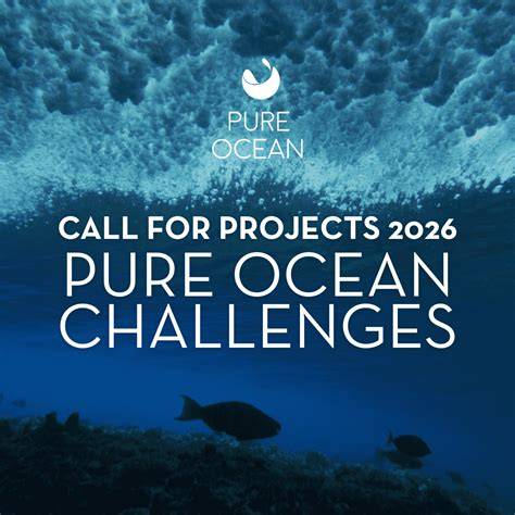OPENING OF THE PURE OCEAN 2026 CALL FOR PROJECTS - raincitystudios.com
