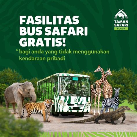 Operasional Taman Safari Group Fasilitas Prima, Layanan Optimal - raincitystudios.com