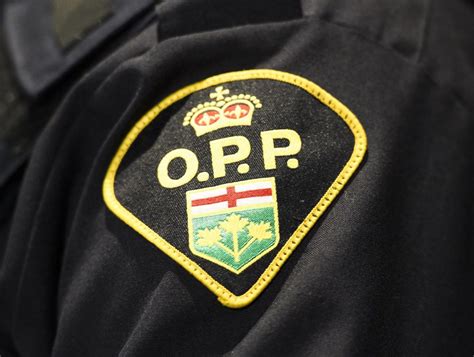 OPP seek smuggling suspects after 36 illegal firearms found near Canada-U.S. border