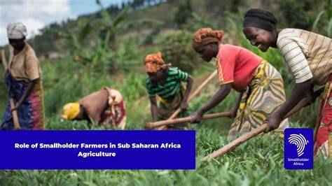 Opportunities and challenges for integrated smallholder farming … - raincitystudios.com