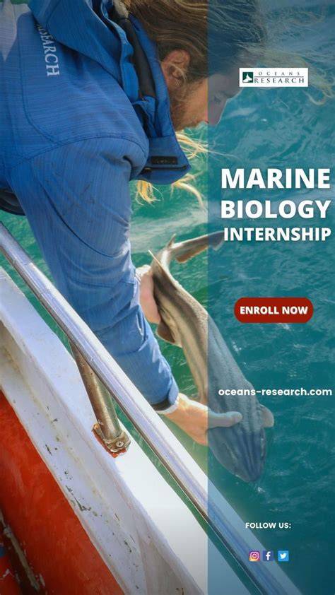 Opportunities for Marine Biology Students and Interns … - raincitystudios.com