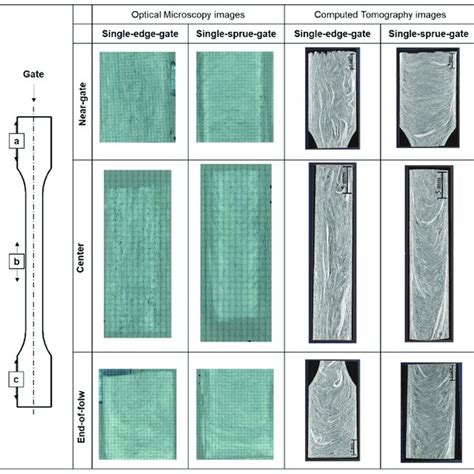 Optical Microscopy and Cell Analysis Core - Mayo Clinic - wintechmobiles.com