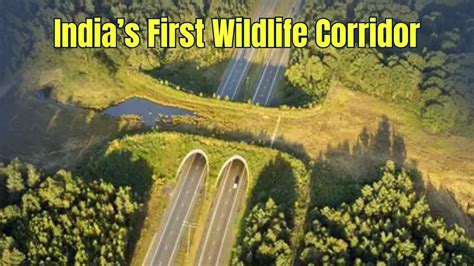 Optimal configuration of a wildlife corridor system - wintechmobiles.com