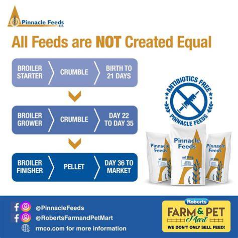 Optimal formulated feeds' crucial role - Skretting - raincitystudios.com