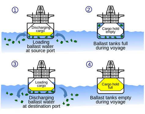 Optimalisasi Ballast Water Management Plan (BWMP) Dalam Upaya ... - muktibox.com