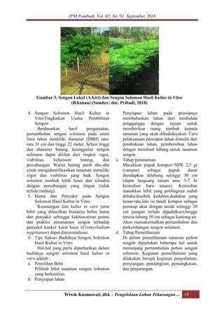Optimalisasi Lahan dengan Sengon Solomon | PDF - Scribd - raincitystudios.com