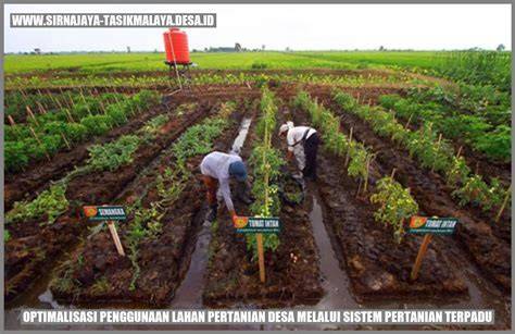 Optimalisasi Pengembangan Pertanian Modern melalui Program … - raincitystudios.com