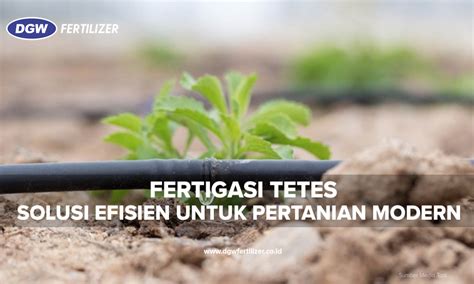 Optimasi Pupuk Kalium untuk Fertigasi melalui Irigasi Tetes pada ... - raincitystudios.com
