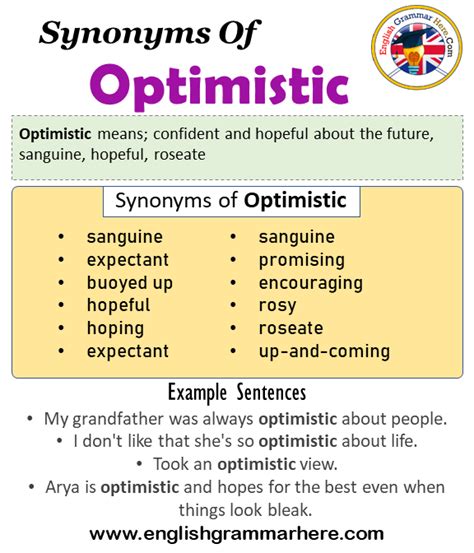 OPTIMISTIC Synonyms & Antonyms - 39 words - wintechmobiles.com