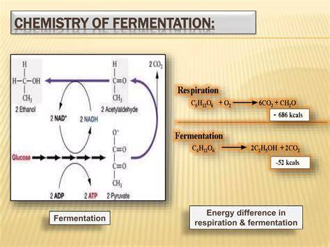 Optimization of anaerobic fermentation and aerobic stability of total ... - raincitystudios.com