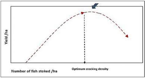 Optimizing stocking density for enhanced fish yield in lacustrine cage ... - raincitystudios.com