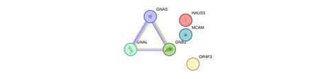 OR4F3 Gene - GeneCards OR4F3 Protein OR4F3 Antibody