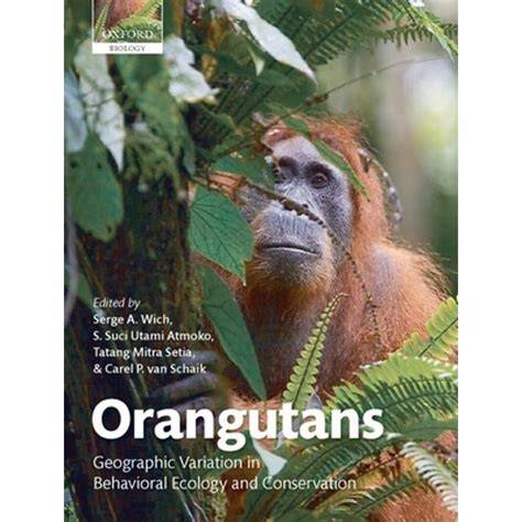 Orangutans: Geographic Variation in Behavioral Ecology and Conservation ... - raincitystudios.com