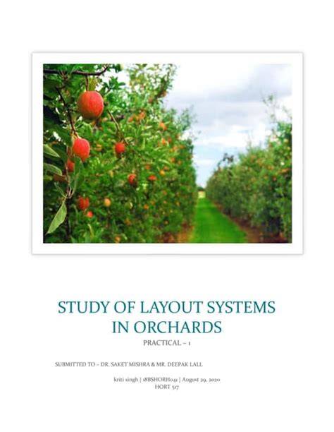 Orchard Establishment | WSU Tree Fruit - Washington … - raincitystudios.com