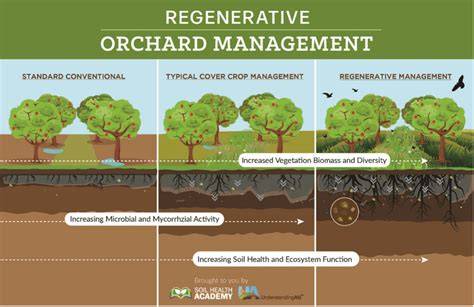 Orchard Management - Lecture Notes (Weeks 3-4) - raincitystudios.com