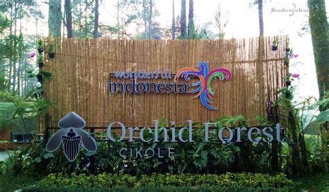 Orchid Forest Cikole: Wisata Alam Viral di Bandung … - raincitystudios.com