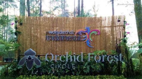 Orchid Forest Cikole Pesona Wisata Alam Estetis di … - raincitystudios.com