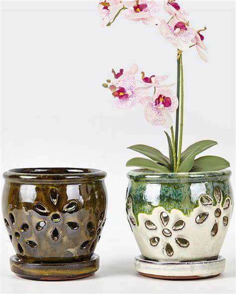 Orchid Plant Pots - raincitystudios.com