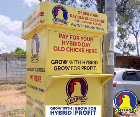 Order your Day Old Hybrid Layer... - Hybrid Poultry … - raincitystudios.com