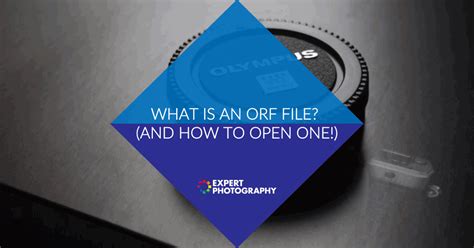 ORF File What It Is and How to Open One 