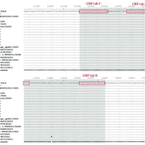 ORF1ab (SARS-CoV-1ab) Result Summary BioGRID