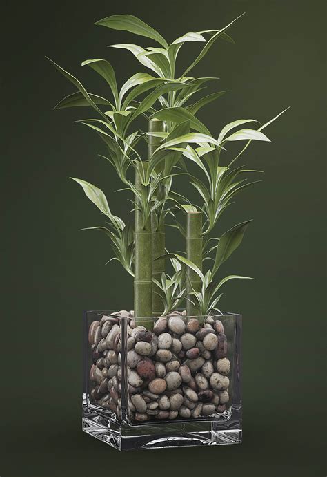 Organic 3D Models for Free Download - Meshy - muktibox.com