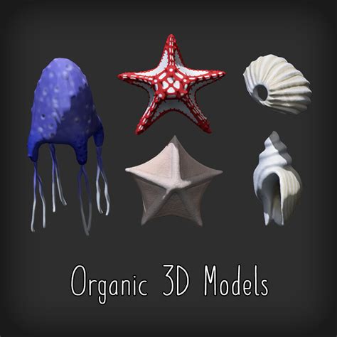 Organic 3D Models - Natural Products | Polycam - muktibox.com