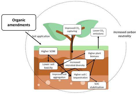 Organic amendment effects on cropland soil organic carbon and its ... - raincitystudios.com