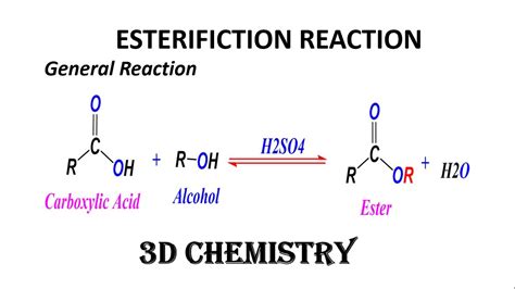 Organic Chemistry Reactions: Organocopper, Esterification, and ... - wintechmobiles.com